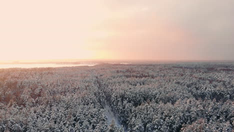 Vídeo-De-Drones-De-Un-Bosque-En-La-Laponia-Finlandesa,-Sobre-El-Círculo-Polar-ártico-En-Invierno